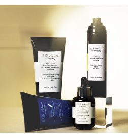 La Brume Bouclier Protection La Brume Bouclier Protection